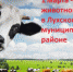 1 марта - День животновода в Лухском районе - Администрация