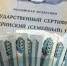 Турчак: Поправки «Единой России» об использовании маткапитала могут принять уже 20 февраля - Родная Нива