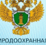 По требованию Ивановского межрайонного природоохранного прокурора интернет-страницы сайта о способах изготовления и реализации рыболовных сетей судом признаны запрещенной информацией - Администрация