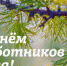 С Днем работников леса! - Администрация