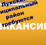 Вакансии в Лухском муниципальном районе на 28.01.2021г. - Администрация