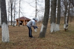 Субботник в Лухе