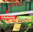 В муниципалитетах Ивановской области проходят мониторинги цен на продукты «борщевого набора» - Родная Нива