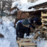 Объединяясь, помогаем друг другу - Родная Нива