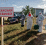 Россельхознадзор призывает власти Ивановской области принять исчерпывающие меры для борьбы с африканской чумой свиней - Родная Нива