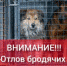 Вниманию владельцев собак! - Администрация