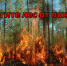 Пожарная безопасность в лесу - Администрация