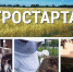 Став фермером, можно получить 1.5 млн рублей - Родная Нива