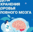 Неделя сохранения здоровья головного мозга. - Администрация