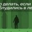 Что делать, если вы заблудились в лесу. - Администрация